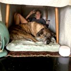 First pic of Misc. stuff: big dogs - Sexy and Funny Forums