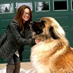 Second pic of Misc. stuff: big dogs - Sexy and Funny Forums