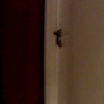 First pic of Lusty wife's friend gets some of my cock - AmateurPorn