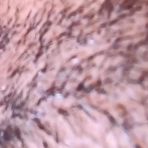 Second pic of amateurlydia | HAIRY SQUIRT