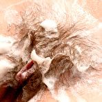 First pic of Free Hairy Pussy Porn Pics &ndash; Free Pussy Pics &ndash; Pussy Porn
