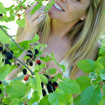 Fourth pic of Meet Madden in Cutoffs and Cleavage - Free Nude Gallery at Bunny Lust