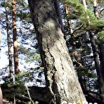 Third pic of got2pee - Soaking The Ground