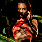 Second pic of Scarlit Scandal Ebony Beauty in a Bikini