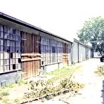 Third pic of Colorful Fetish | The Old Factory