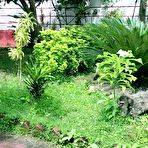 Fourth pic of Indian Hot Bhabhi Sex with Unknown Young Boy! Plz Cum Inside - AmateurPorn