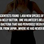 First pic of Misc. stuff: Scary factoids - Sexy and Funny Forums