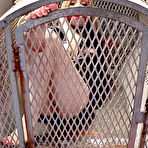 First pic of Anal Asylum