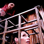 First pic of Caged Heat 2