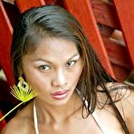 Second pic of Tailynn.com -  Thailand's 20 year old body petite fashion model!