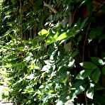 Second pic of Kara Dashka Wears Red Panties Outside Kara Dashka