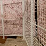 Second pic of Dom-Team | Young and bratty teen Emily stripped naked - tied up and punished in the cage