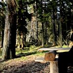 First pic of got2pee - Nature Trail Spraying