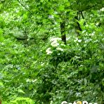 Third pic of got2pee - Baring All