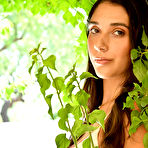 Fourth pic of Ari in Denim Shorts