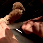 First pic of Rosetti | Hasenschlacht