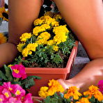 Third pic of AdultPrime.com | Digital Desire Photo Set: Autumn Austin