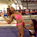 Second pic of Seakingsfemfight.com Galleries