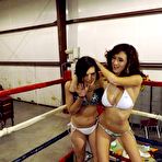 Third pic of Seakingsfemfight.com Galleries