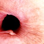 Fourth pic of Jackie Hoff unshaved brunette | The Hairy Lady Blog