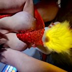 Third pic of Horny midget - 28 Pics | xHamster