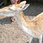 Third pic of springbreaklife - Spring Break College Girl on a Public Nudity Scavenger Hunt