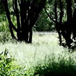 Fourth pic of Young blonde Larisa takes a pee behind a tree in multi-coloured knee socks