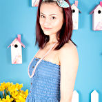 First pic of Young looking girl Beki gets naked while wearing over the knee nylons