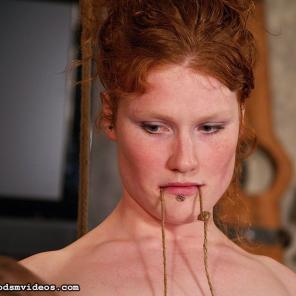 Girl on Girl Bondage0 #247479