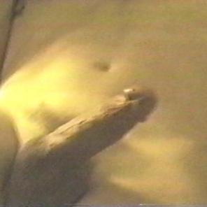 Hardcore Gay Groupsex Movie #249928