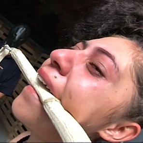 Pain Ritual #302619