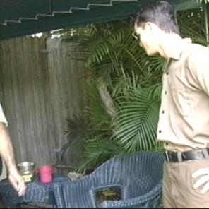 Nude porn Pics with Thrilling Gay Bear Sex Adventures
