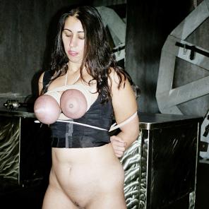 Nikkis sweet tits #584683